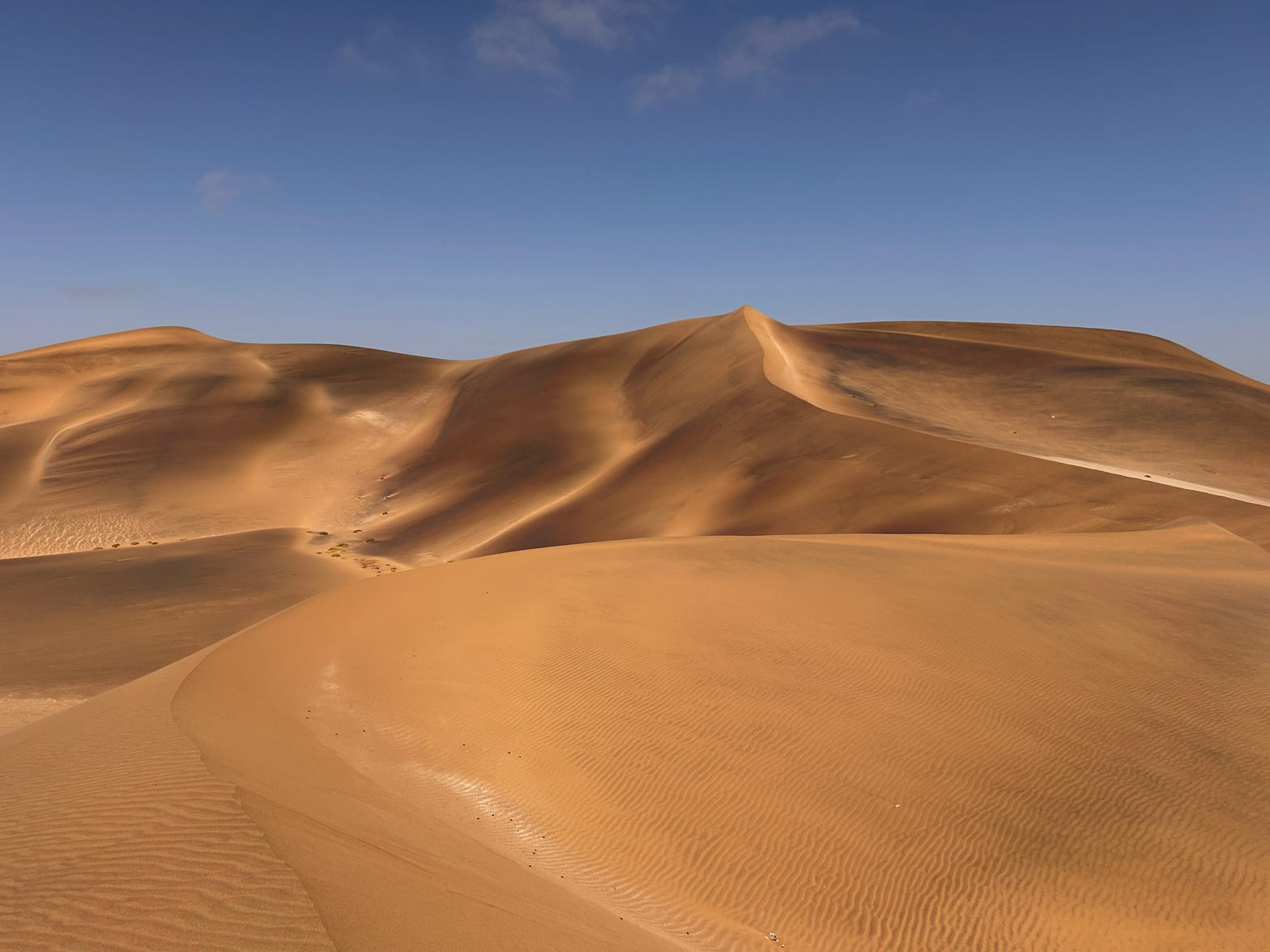 Sand dunes near Swakopmund, Namibia